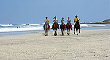 Costa Rica-Pacific Coast-Kaleidoscope Ride - Volcanoes and Paramo